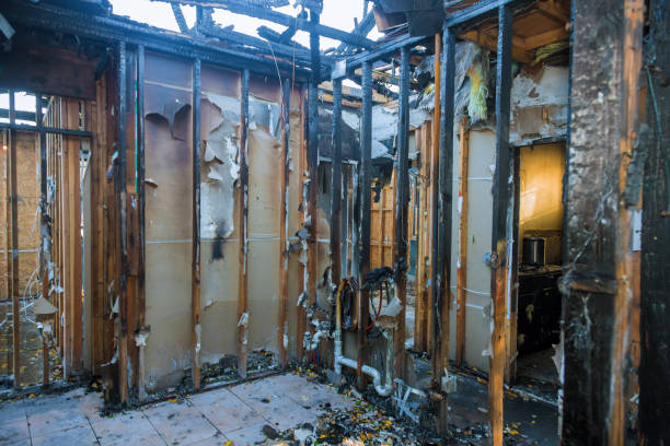 Professional Odor Removal technician working in Kingston, NJ