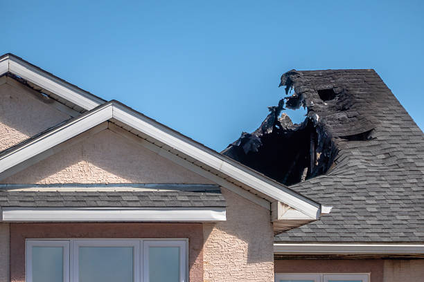 Top rated local Odor Removal specialists in Kingston, NJ
